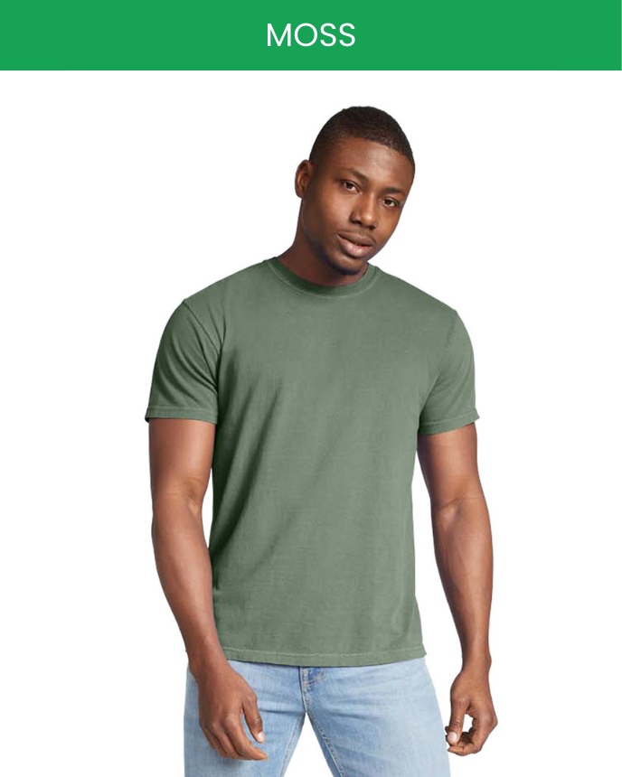 Comfort Colors 1717