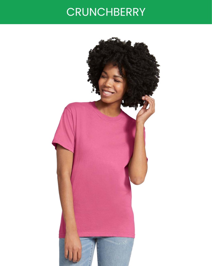 Comfort Colors 1717