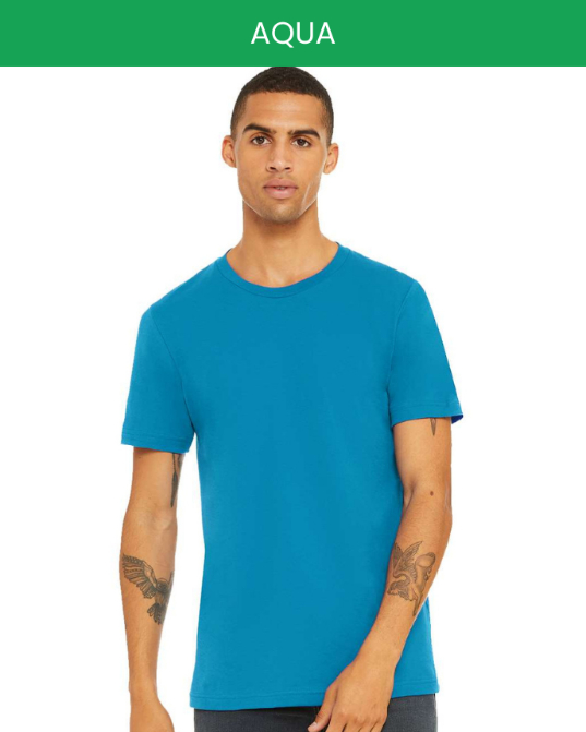 Unisex Jersey Short Sleeve Tee Bella Canvas 3001 (Made in US)