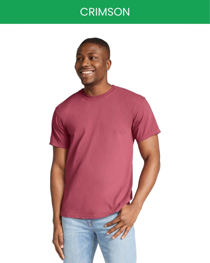 Comfort Colors 1717