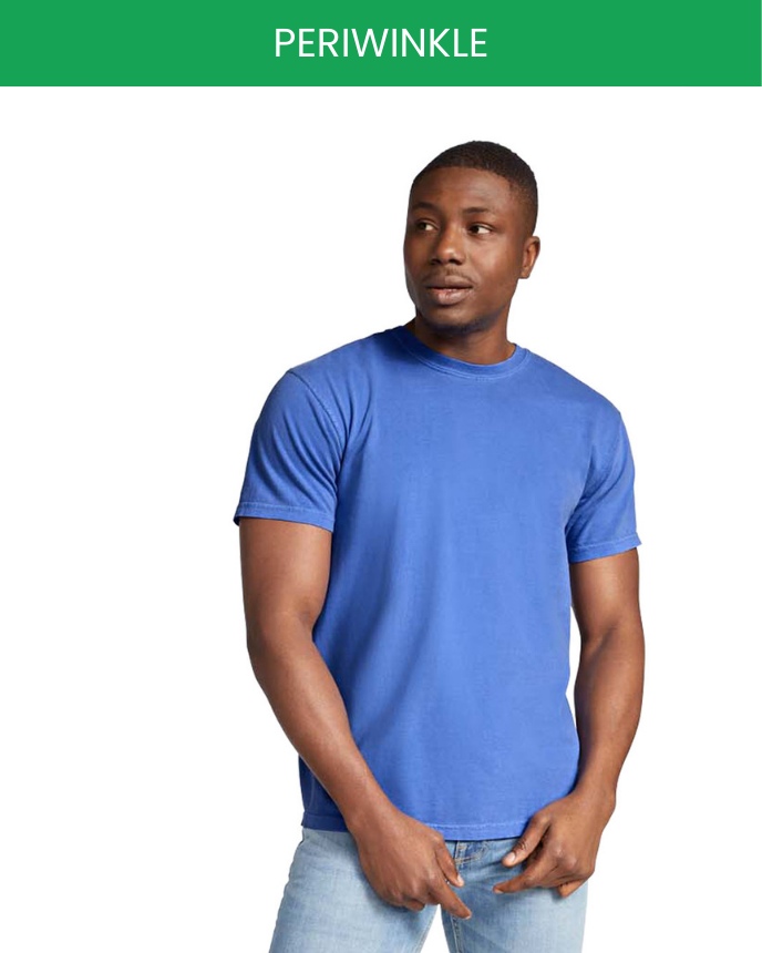 Comfort Colors 1717
